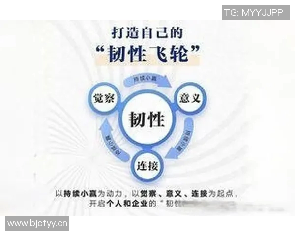 迪林厄姆谈联盟经历:韧性是关键学会翻篇才能不断进步 迪林厄姆谈联盟经历:韧性是关键学会翻篇才能不断进步