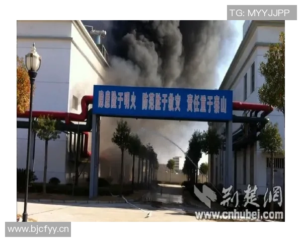 维尼修斯家中火灾调查揭示地下室桑拿房成起火源头